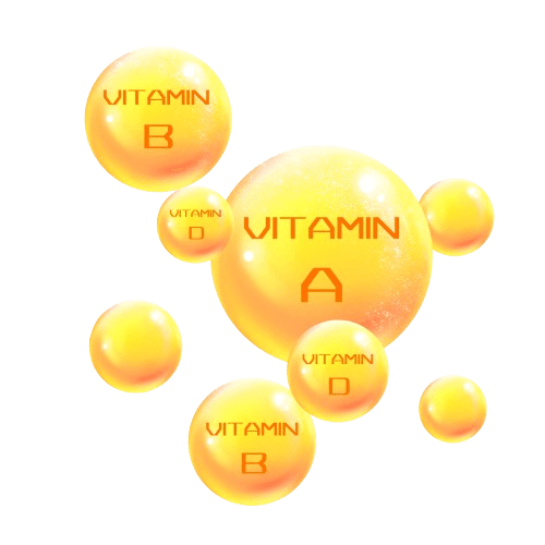 Vitamin and Micronutrient Testing Specialist